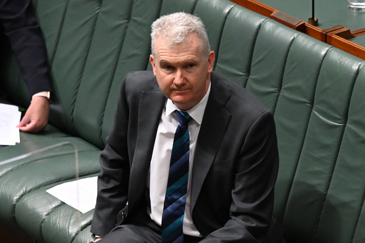 Australian New National Cultural Policy Will Not Include Major Art Institutions - Vimarsana News