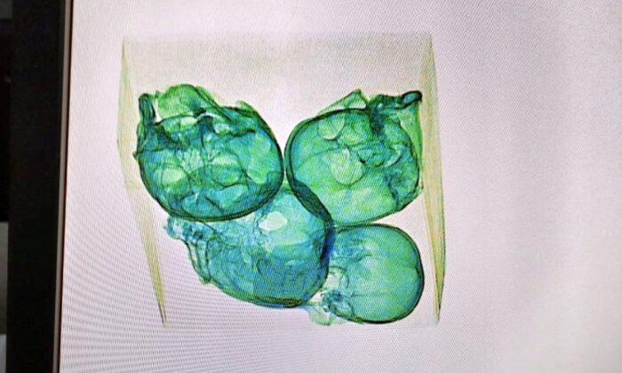 Four human skulls wrapped in plastic and aluminum foil were detected by an X-ray machine during a National Guard inspection of a package destined for the United States at a delivery company at Queretaro Intercontinental Airport in Queretaro, Mexico. it was done.  Delivered on December 30, 2022.  (Handout from Guardia Nacional/Reuters, Mexico)