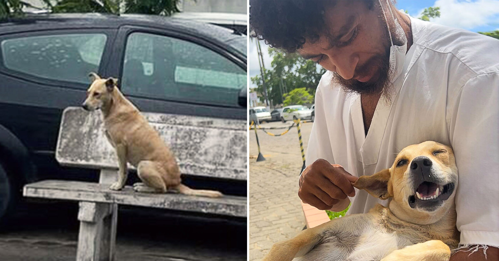 NextImg:VIDEO: Dog who waited weeks outside hospital for homeless owner is finally back in his arms