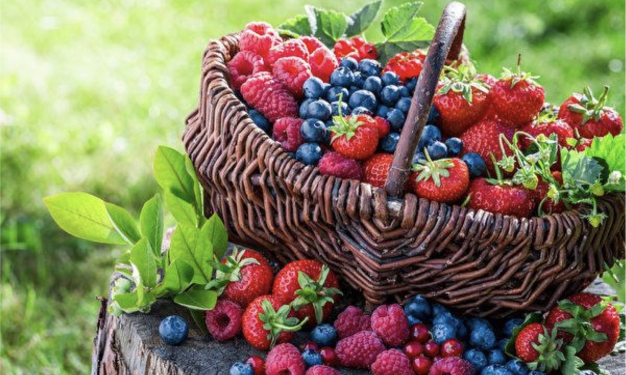 Blueberry–A Natural Vascular Scavenger That Helps Prevent Heart Disease - Vimarsana News