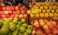 Feds to Spend $25 Million to Entice Food Stamp Recipients to Eat More Fruits, Vegetables