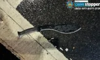 Suspect in Machete Attack Against NYPD Officers Charged With Terrorism
