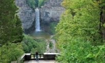 Find Gorges, Greenery, Gardens, and Goats in Ithaca, New York