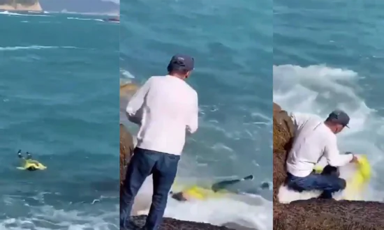 Angler Uses Hook and Line to Save Woman Who Fell into Water