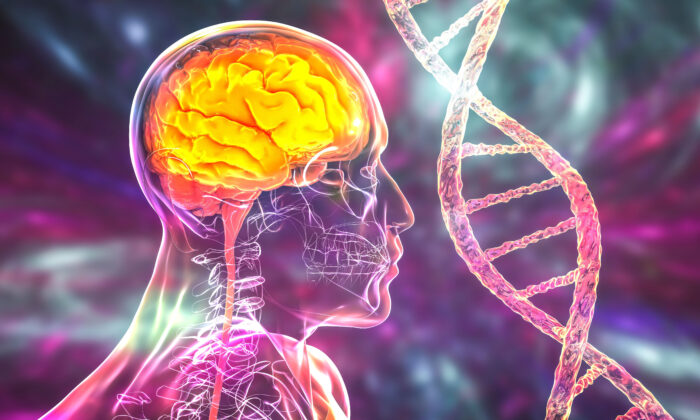 50 Percent of Alzheimer's Cases Due to Gene Allele, Lifestyle Factors Key for Prevention