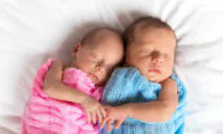 For Females, Twinning is Not Winning: Research Suggests Girl Twins Disadvantaged by Testosterone 