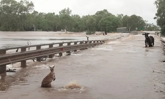 Fire Returns to the Kimberley on Heels of Epic Flood
