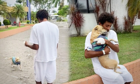 VIDEO: Dog Who Waited Weeks Outside Hospital for Homeless Owner Is Finally Back in His Arms