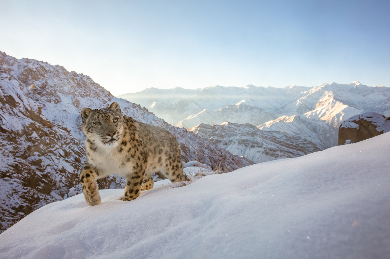 Nature Photographer of the Year Reveals Riveting Winning Pictures From 20,000 Entries From Across the World - Vimarsana News