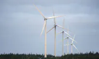 Green Electricity Means Rising Costs for Consumers: Federal Memo