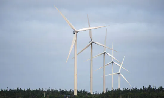Green Electricity Means Rising Costs for Consumers: Federal Memo
