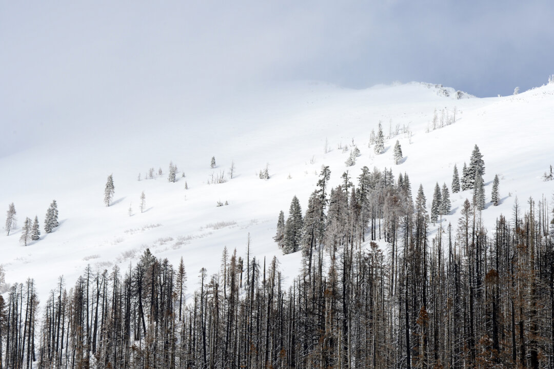 Heavy California Snowfalls Creating Dangerous Travel Conditions in ...