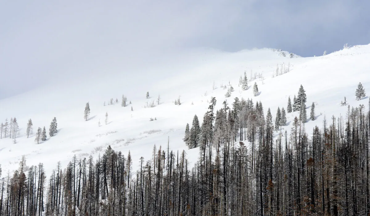 A mountain peak is covered with heavy snow near the Phillips Station meadow where the California Department of Water Resources conducted its first snow survey of the season in the Sierra Nevada mountains on Jan. 3, 2023. (Jonathan Wong/California Department of Water Resources)