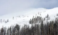 Heavy California Snowfalls Creating Dangerous Travel Conditions in Sierras