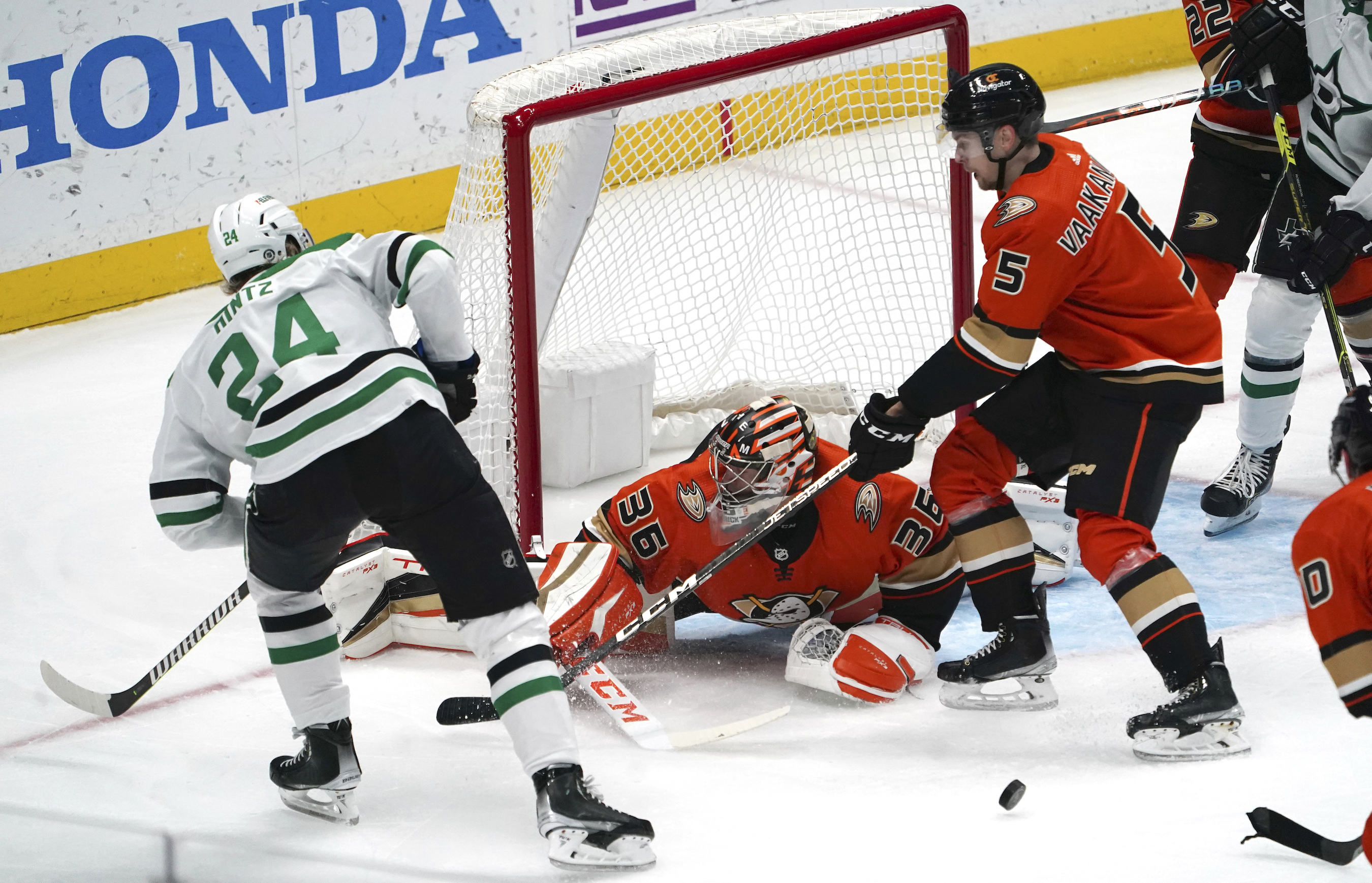 Gibson Stops 35 Shots, Ducks Blank Stars 2–0 - Vimarsana News