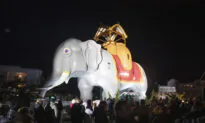 ‘Sand, Surf and Lucy the Elephant’: Iconic Roadside Attraction’s Face-Lift Unveiled