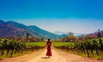 Impossible Causes and Lost Grapes: A Visit to Chile’s Santa Rita Winery
