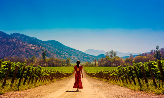 Impossible Causes and Lost Grapes: A Visit to Chile’s Santa Rita Winery