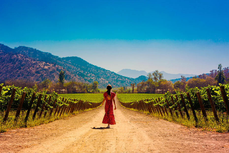 Santa Rita is one of the oldest and longest-standing wineries in Chile. (Courtesy of Santa Rita)