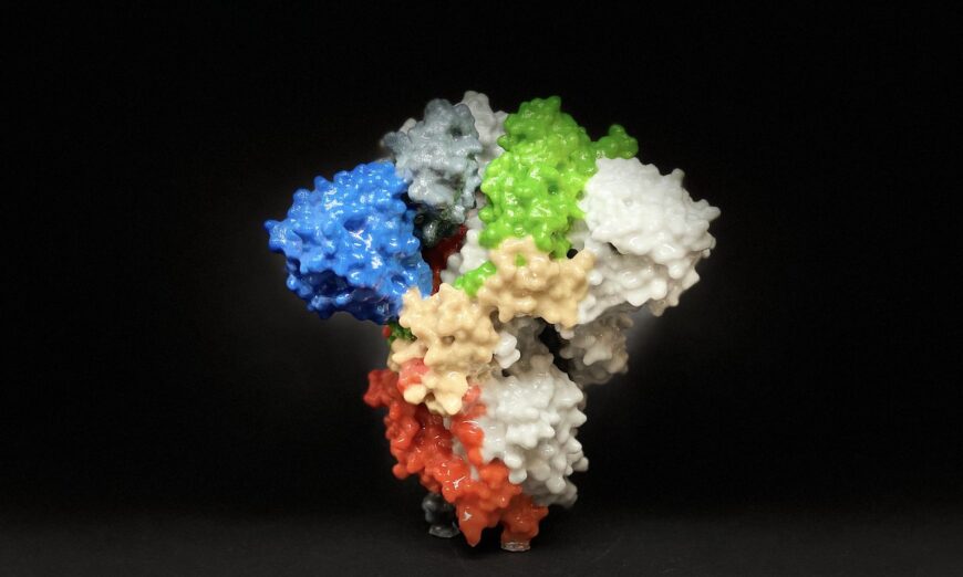 3D print of a spike protein on the surface of SARS-CoV-2. Spike proteins cover the surface of SARS-CoV-2 and enable the virus to enter and infect human cells. (NIH)