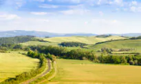 Trains, Buses, and Automobiles: A Dynamic Family Trip to Northern Italy