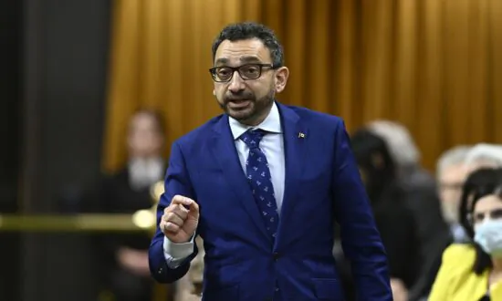 Weather and Industry Mostly to Blame for Travel Chaos, Transport Minister Tells Committee