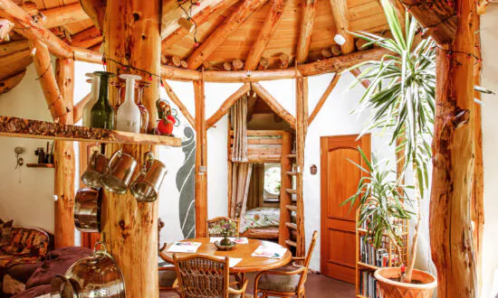 Why Is This Scottish Hideaway Airbnb Like ‘A Giant Hug?’ Take a Look Inside and See