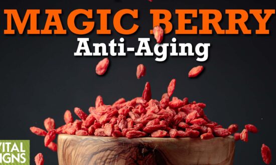 Oriental Goji Berry Long Used for Anti-Aging, Antioxidant, and Eye-Health Properties