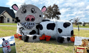 Texas Couple Create Incredible Hay Bale Sculptures That Delight Their Community