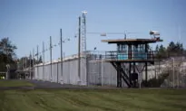 Pigeon Carrying a ‘Backpack’ of Crystal Meth Caught in BC Prison