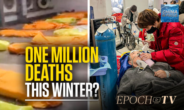 1 Million Deaths This Winter ‘Quite Possible’: Expert