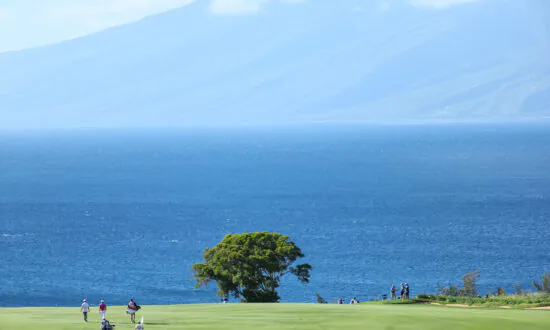 Morikawa Builds 2-shot Lead Going to Weekend at Kapalua