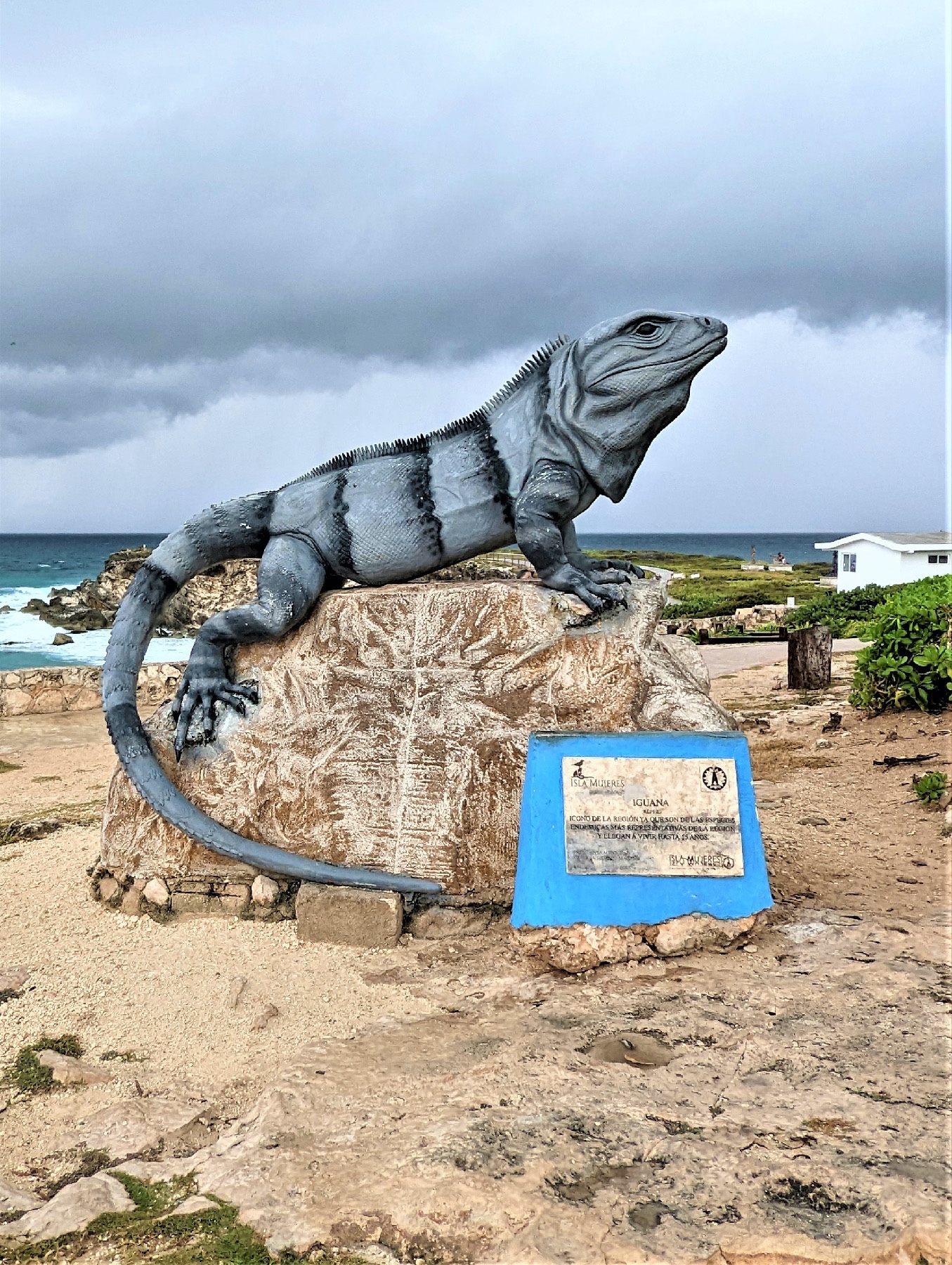 A monument on Mexico’s Isla Mujeres pays tribute to the indigenous iguana that thrives and roams freely here and throughout Central America.