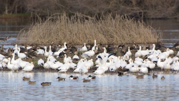 Epoch Times Photo