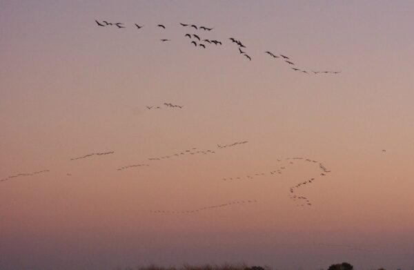Epoch Times Photo
