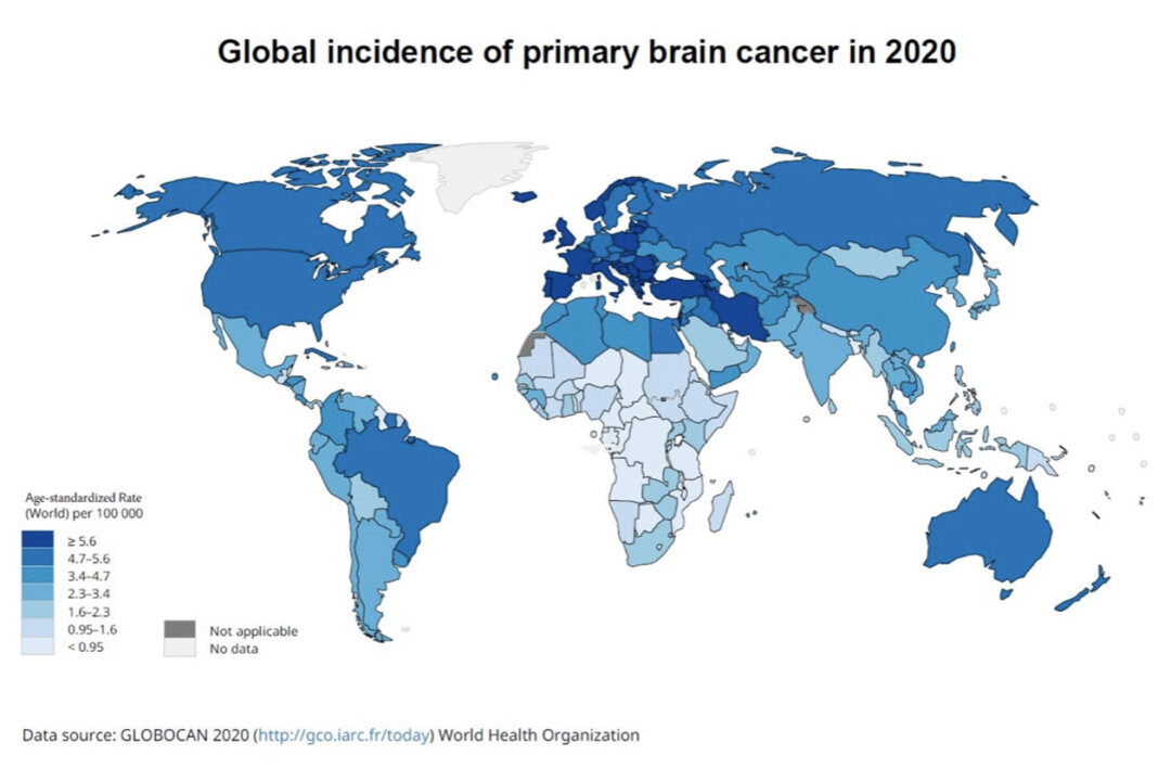 Research conducted by the Chinese University of Hong Kong discovered that the occurrence of brain cancer was related to GDP and mobile phone usage. The picture depicts the global distribution of brain cancer incidence in 2020. (Photo by CUHK)