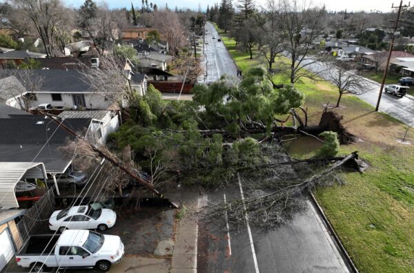 A large tree fell during rainstorms in Sacramento, California