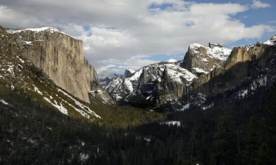 New York Stock Exchange Abandons Plan to Control America’s Natural Resources
