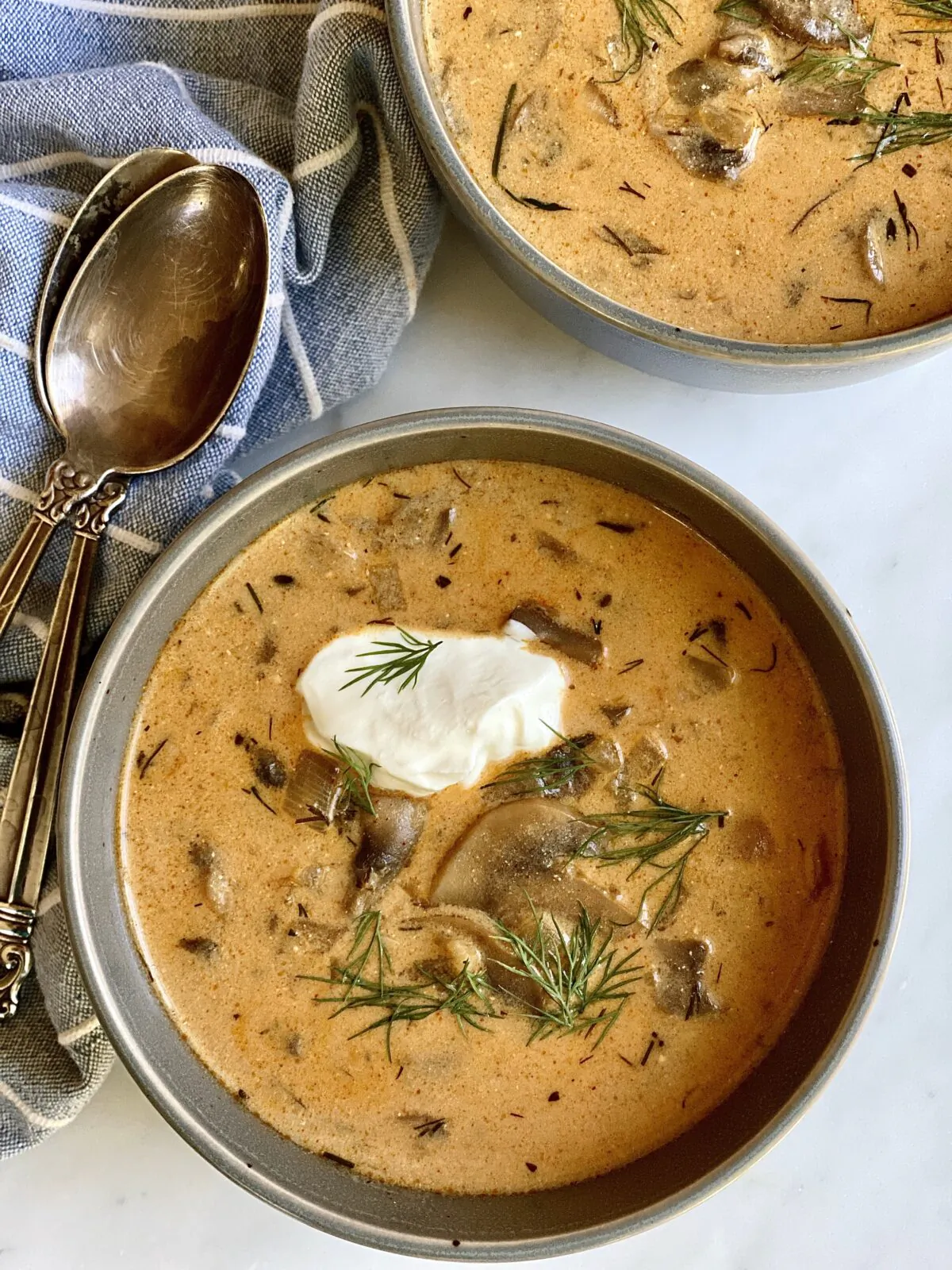 Hungarian mushroom soup is a rich and savory soup made from sautéed mushrooms and thickened with a milk and flour slurry. (Kelli Foster/TNS)