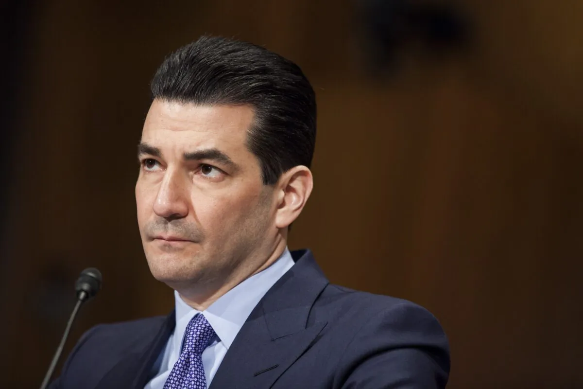 Dr. Scott Gottlieb testifies in Washington on April 5, 2017. (Zach Gibson/Getty Images)