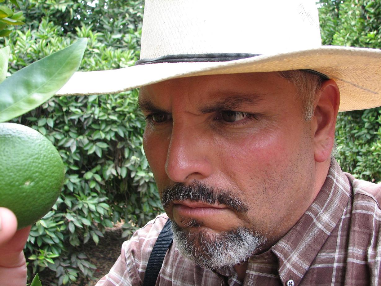 Tony checking fruit