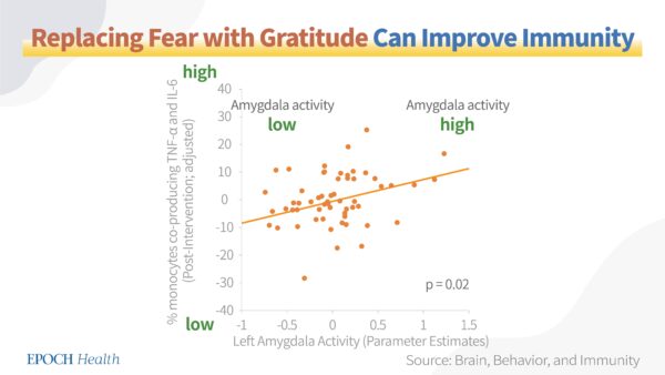 Replacing fear with gratitude can improve immunity. 