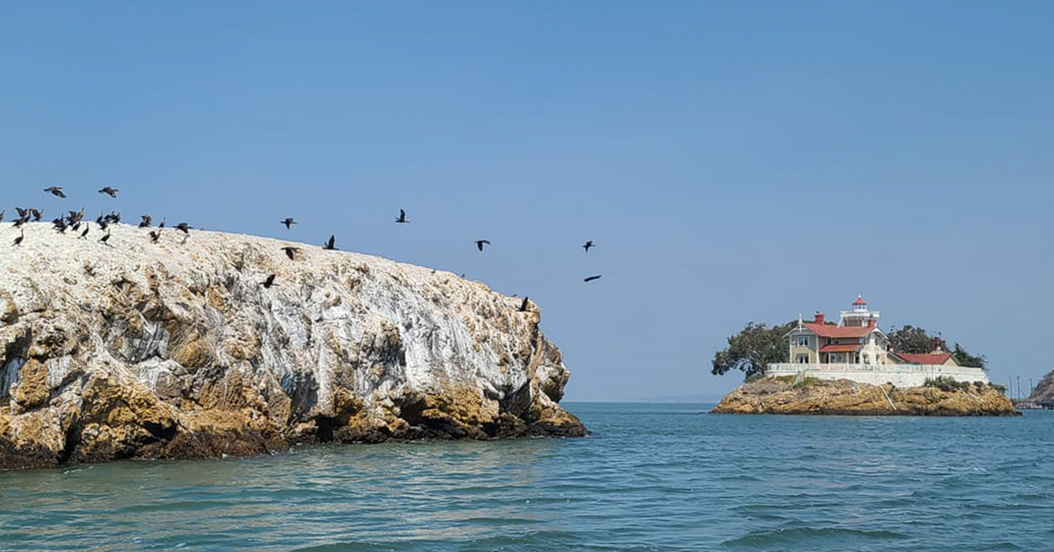 Lighthouse Looking to Pay Persons $140,000 to Live on a Rock in San Francisco Bay, Tend Bed & Breakfast - Vimarsana News