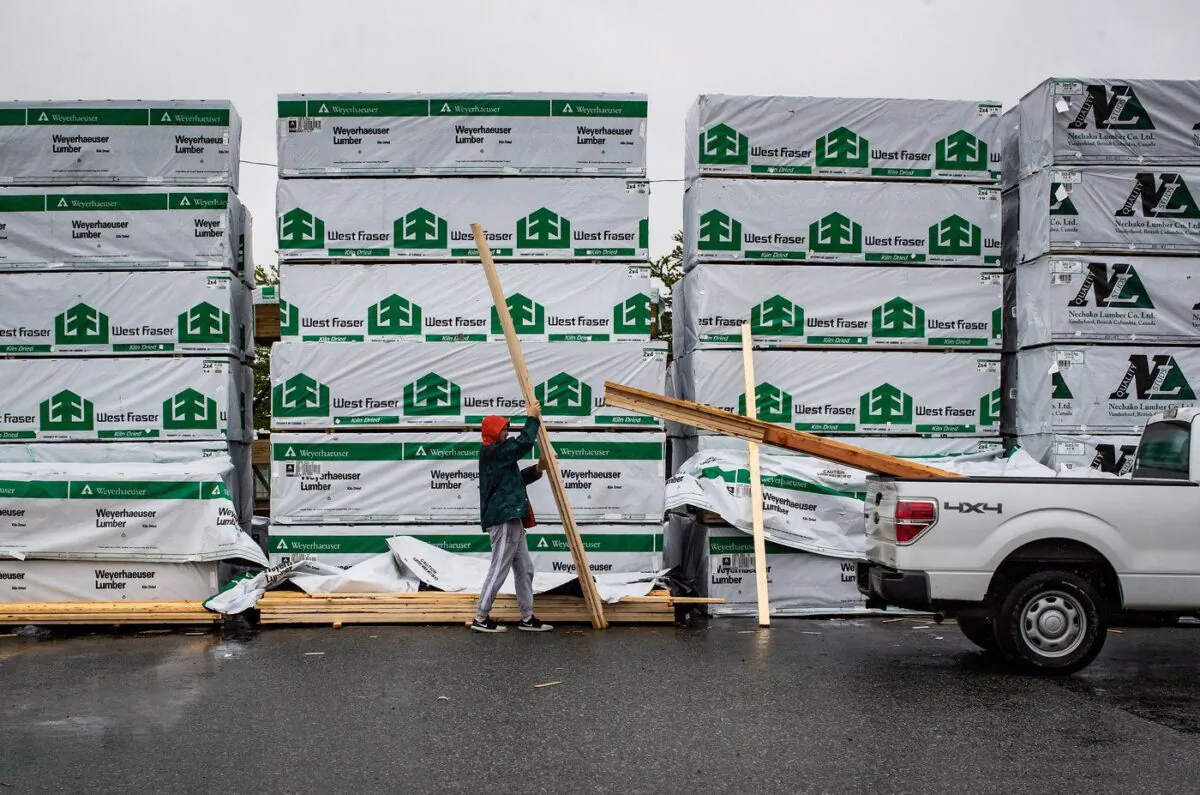 A customer loads lumber into the back of a pickup truck in Maple Ridge, B.C., on June 12, 2020. (The Canadian Press/Darryl Dyck)