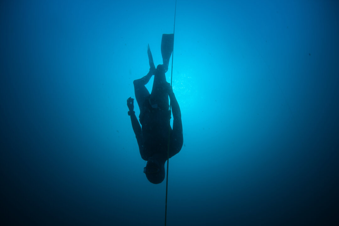 "The normal response to low oxygen is for arterioles in lungs to constrict," raising pulmonary blood pressure, says Tyler Kelly. "But we found that these athlete divers had a minimal response, if any."(cdelacy/Shutterstock)