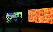 Samsung Reportedly Moves Its Top-of-the-Line Product Out of CES Venue to Avoid Intellectual Property Theft