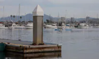Newport Harbor Public Piers to Be Upgraded