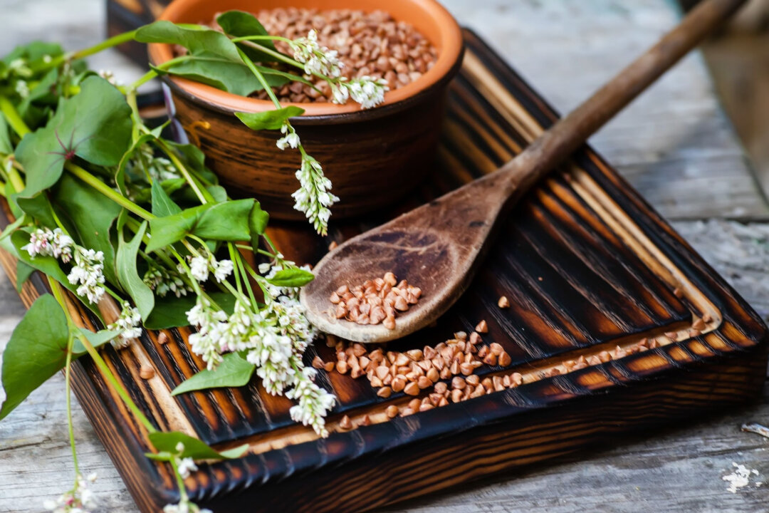 Tough Conditions Created This Ancient Himalayan Superfood