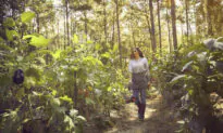 From Hunting to Growing a Family’s Supply of Produce, Stacy Lyn Harris Can Do—and Cook—It All