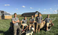 How a Once-Struggling Indiana Farm Found Success, and Hope, When They Embraced Farming Practices that Nurture the Soil